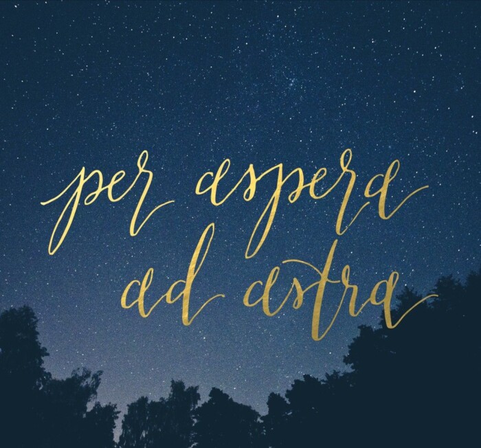Per aspera ad astra